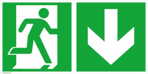 Fluchtwegschild SafetyMarking® Notausgang Standard 9 L