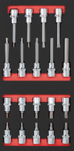 Bit-Steckschlüsselsatz Einlage Standard 1 L