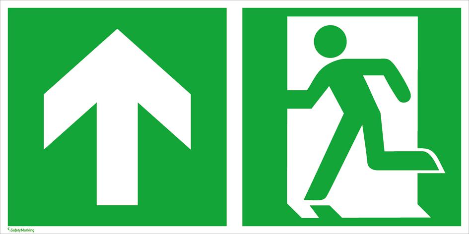 Fluchtwegschild SafetyMarking® Notausgang Standard 6 ZOOM