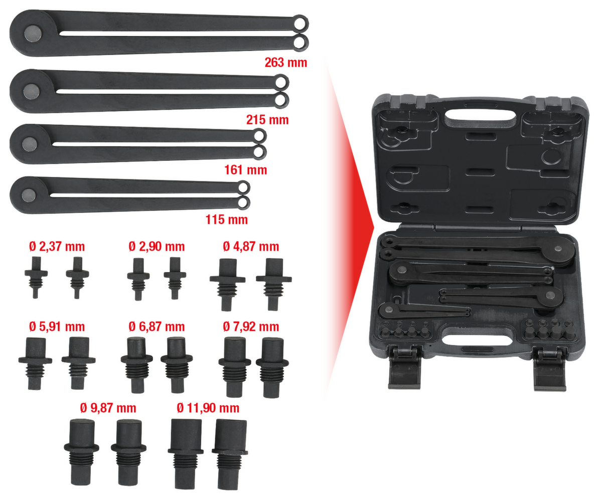 KS Tools Zweilochmutterndreher-Satz Standard 2 ZOOM