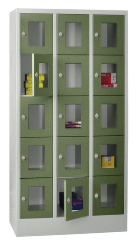 PAVOY armoire multicases Basis, 15 compartiments