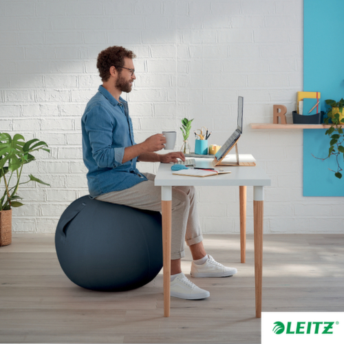 Leitz ballon-siège Ergo Cosy, assise gris velours  L