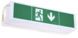 B-Safety Lampe de signalisation DELIssue de secoursHxlxP 110x360x90 mm