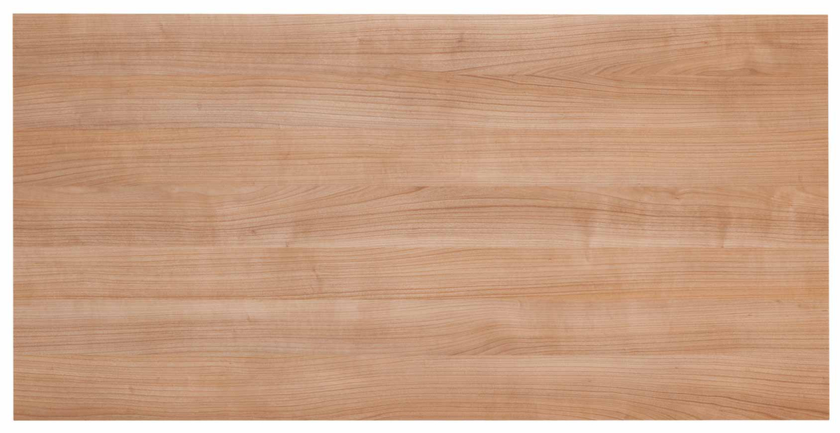 Plateau pour table de réunion, largeur x profondeur 1600 x 800 mm