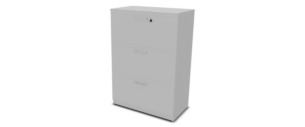 Nowy Styl Armoire pour dossiers suspendus E10, 3 extensions