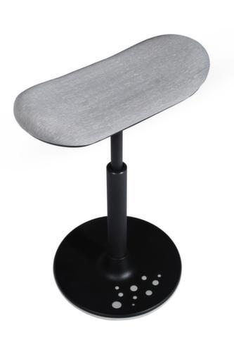 Topstar Sitz-/Stehhilfe Sitness H2 mit Skateboard-Sitz, Sitzhöhe 570 - 770 mm, Sitz grau