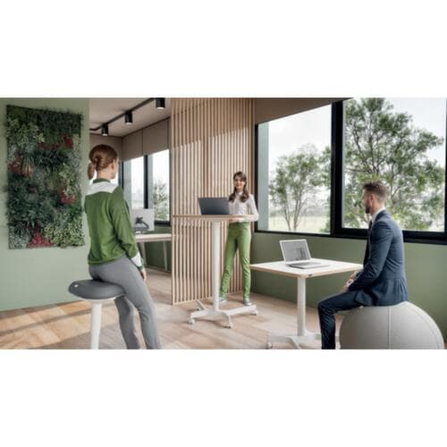 Leitz Tabouret assis-debout Ergo Active